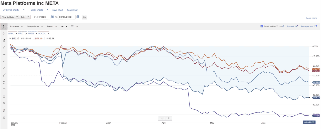 FAANG 1.0 YTD performance