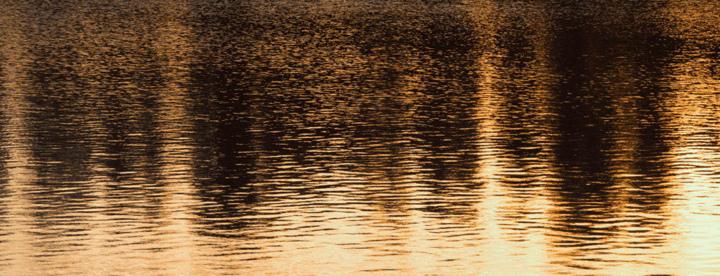 Reflections