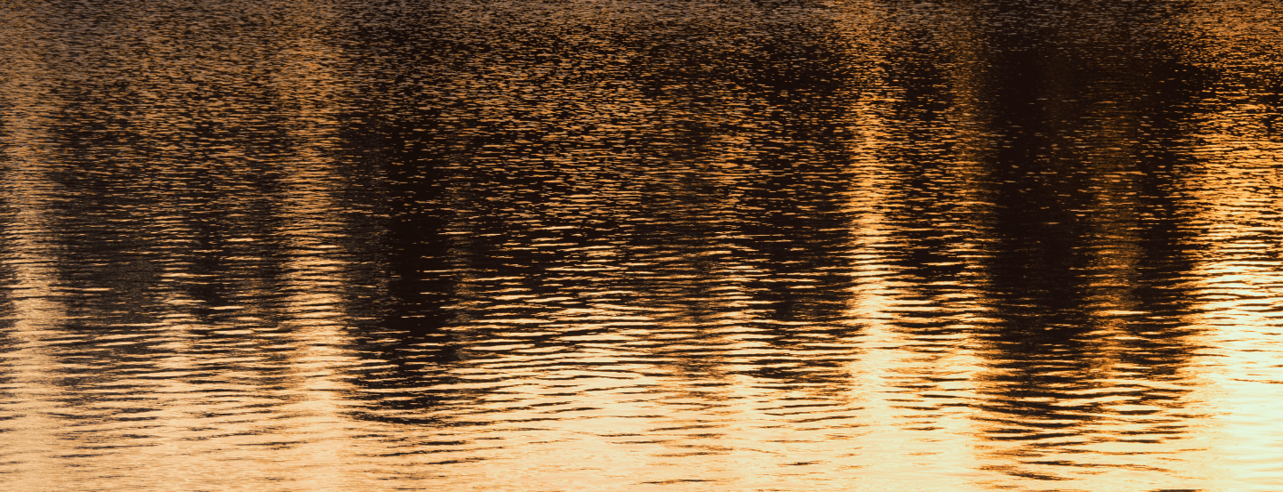 Reflections